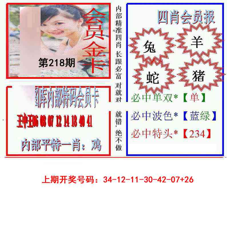 九龍四肖会员报
