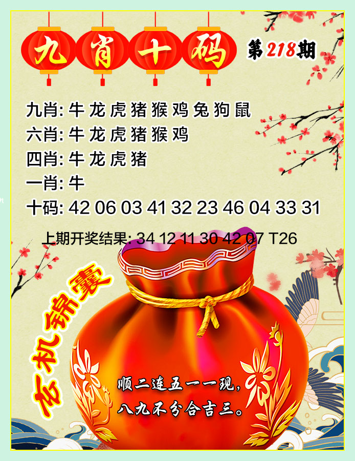九肖十码